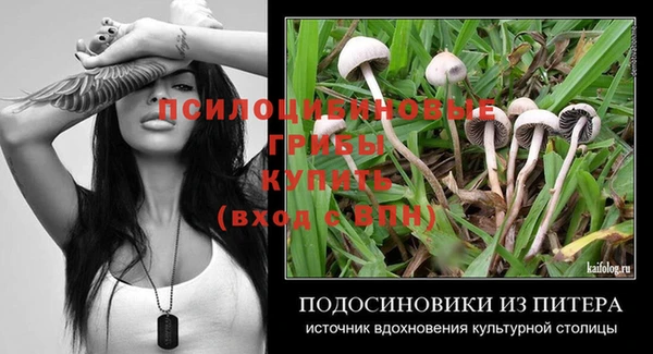2c-b Карпинск