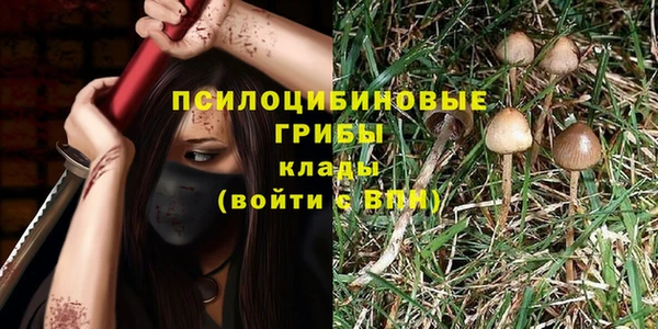 мдпв Киреевск