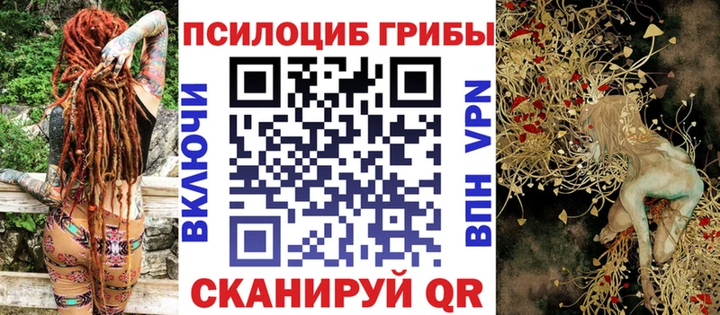 где продают   Усолье  Галлюциногенные грибы GOLDEN TEACHER 